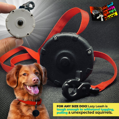 Safe & Easy Wearable Keychain Leash ⚡ for Hiking, Training & Off Leash Adventure 2pc