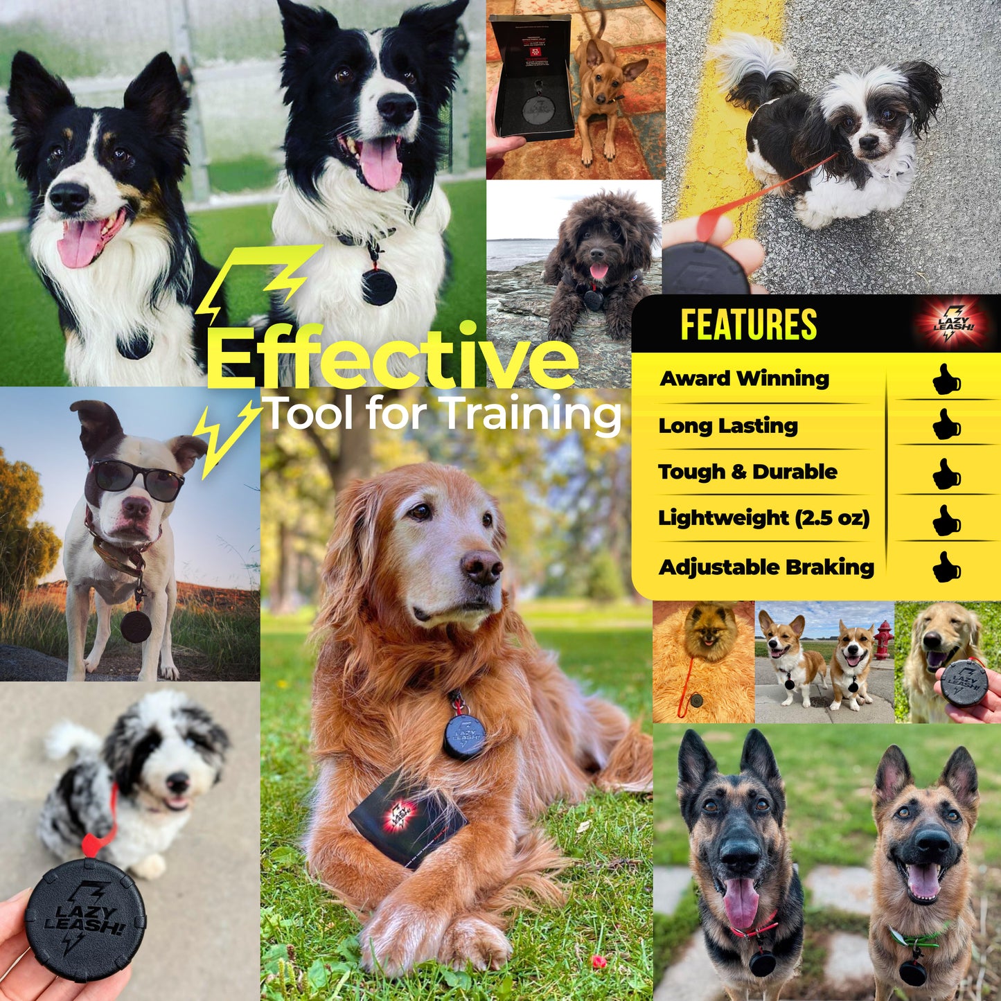 Customized Mini Dog Leash! Personalized for Dog Lovers – Multiple Breeds & Colors