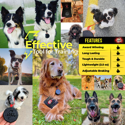 Customized Mini Dog Leash! Personalized for Dog Lovers – Multiple Breeds & Colors