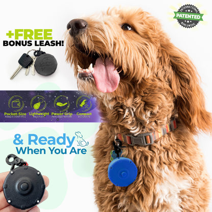 New & Improved Lazy Leash - 12 Two-Piece Packs!