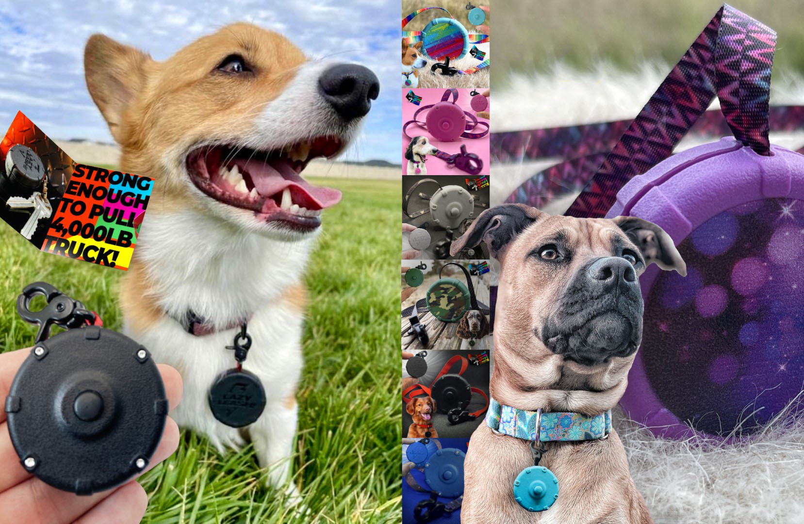 Lazy Leash! Mini Wearable Power Leash for Hiking, Training