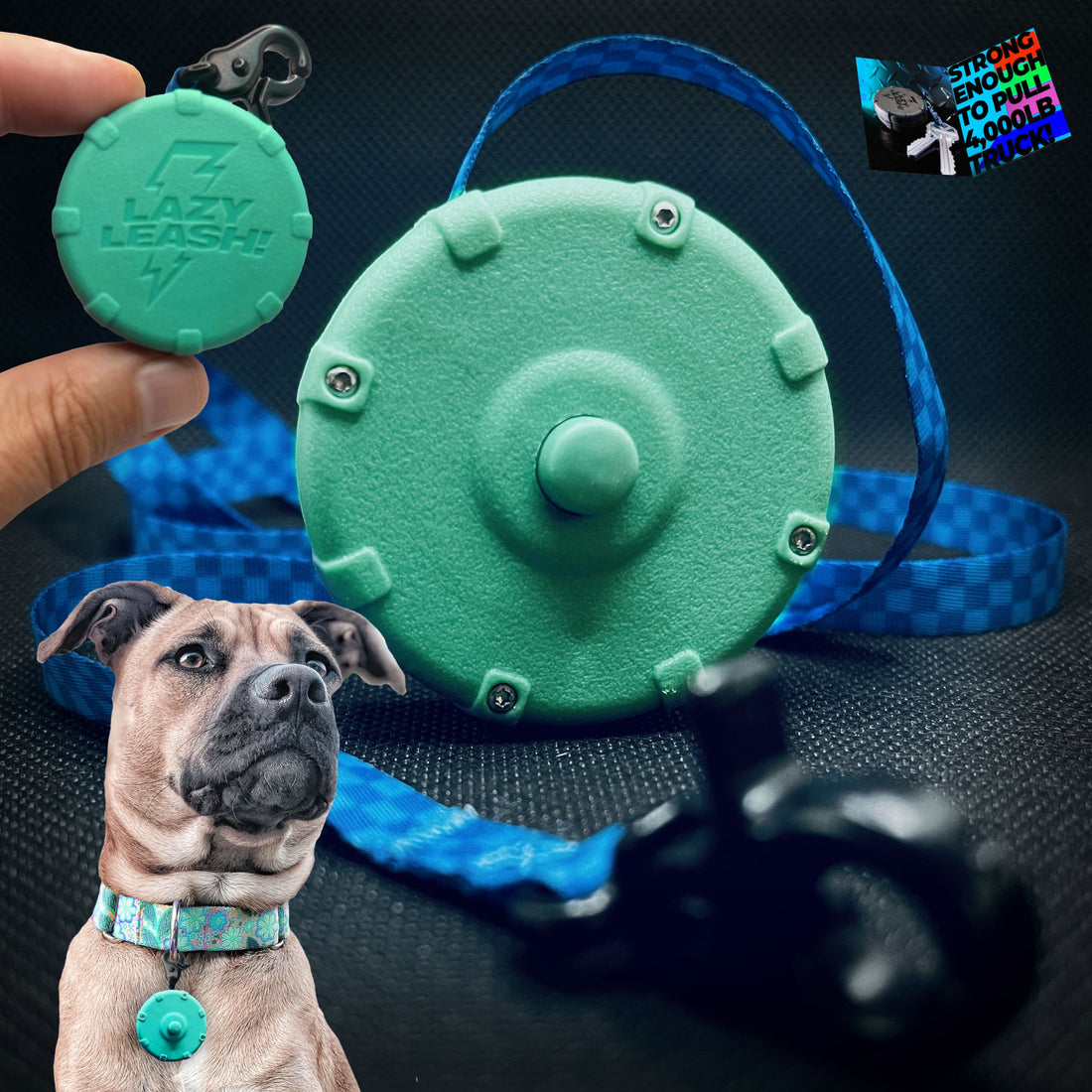 Lazy Leash! Mini Wearable Power Leash for Hiking, Training, Adventure ...